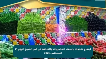 ارتفاع ملحوظ بأسعار الخضروات والفاكهة في كفر الشيخ اليوم 21 أغسطس 2025